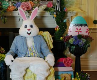 Easter Bunny Costume Image